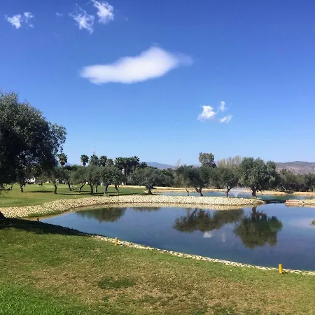 Lauro Golf 'bamboo'